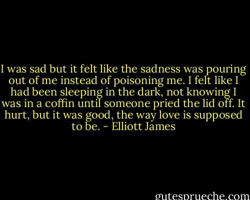 I was sad but it felt like the sadness was pouring out of me instead of poisoning me. I felt like I had been sleeping in the dark, not knowing I was in a coffin until someone pried the lid off. It hurt, but it was good, the way love is supposed to be. - Elliott James