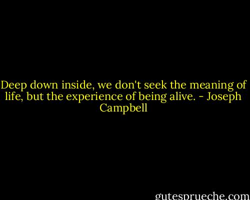 Deep down inside, we don't seek the meaning of life, but the experience of being alive. - Joseph Campbell