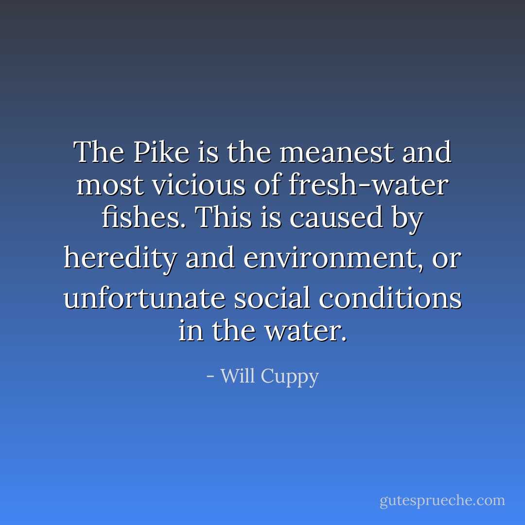 The Pike is the meanest and most vicious of fresh-water fishes. This is caused by heredity and environment, or unfortunate social conditions in the water. - Will Cuppy