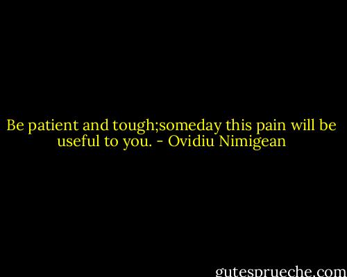 Be patient and tough;someday this pain will be useful to you. - Ovidiu Nimigean