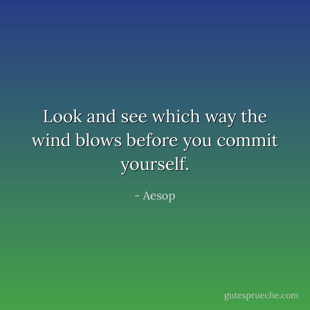 Look and see which way the wind blows before you commit yourself. - Aesop