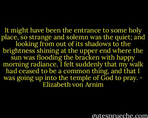 It might have been the entrance to some holy place, so strange and solemn was the quiet; and looking from out of its shadows to the brightness shining at the upper end where the sun was flooding the bracken with happy morning radiance, I felt suddenly that my walk had ceased to be a common thing, and that I was going up into the temple of God to pray. - Elizabeth von Arnim