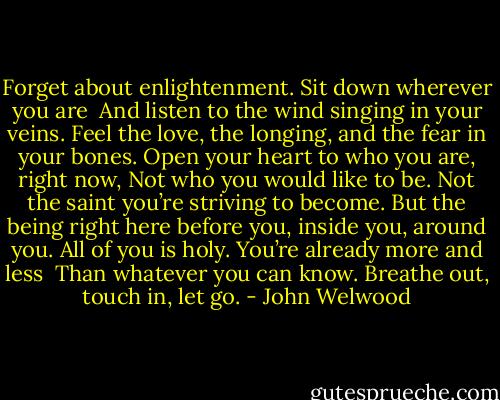 Forget about enlightenment.<br />Sit down wherever you are <br />And listen to the wind singing in your veins.<br />Feel the love, the longing, and the fear in your bones.<br />Open your heart to who you are, right now,<br />Not who you would like to be.<br />Not the saint you’re striving to become.<br />But the being right here before you, inside you, around you.<br />All of you is holy.<br />You’re already more and less <br />Than whatever you can know.<br />Breathe out, touch in, let go. - John Welwood