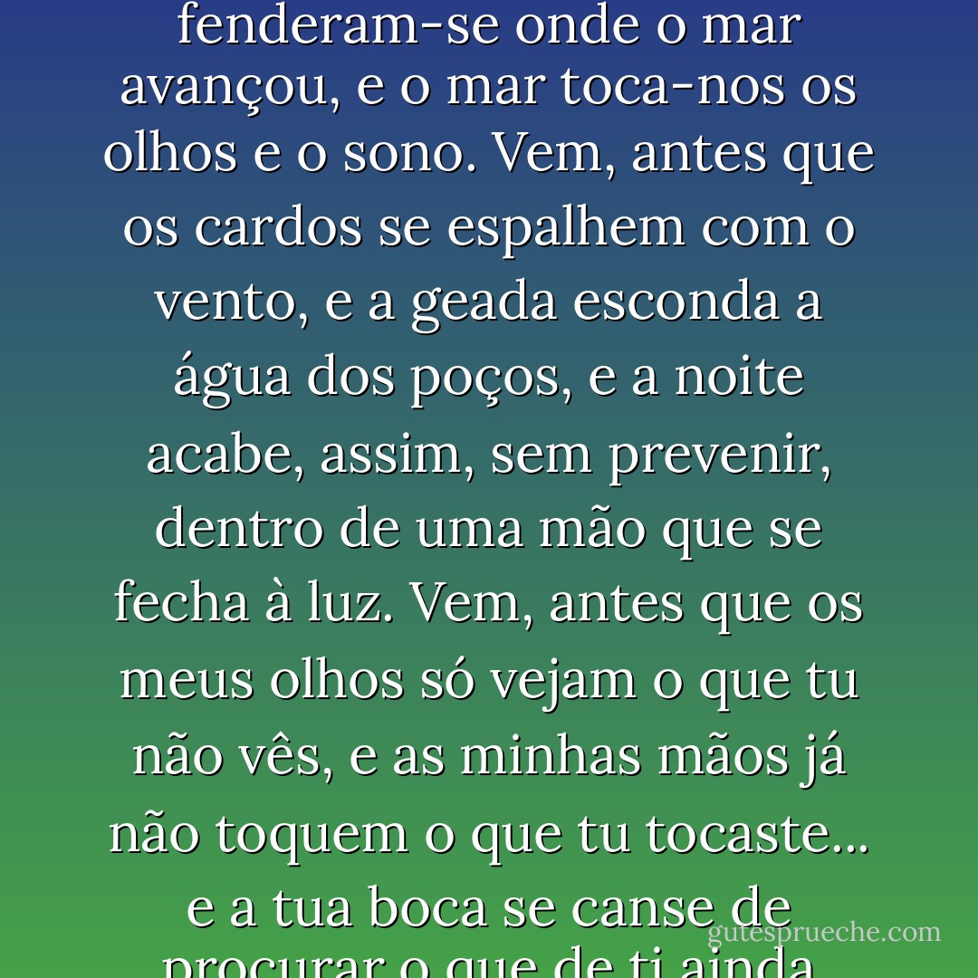 Vem, o tempo urge... as constelações já iniciaram o movimento de mudança de hemisfério, e as dunas fenderam-se onde o mar avançou, e o mar toca-nos os olhos e o sono. Vem, antes que os cardos se espalhem com o vento, e a geada esconda a água dos poços, e a noite acabe, assim, sem prevenir, dentro de uma mão que se fecha à luz. Vem, antes que os meus olhos só vejam o que tu não vês, e as minhas mãos já não toquem o que tu tocaste... e a tua boca se canse de procurar o que de ti ainda possuo, e do teu nome não reste mais que uma metade do meu. - Al Berto