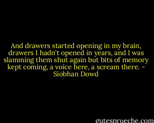 And drawers started opening in my brain, drawers I hadn't opened in years, and I was slamming them shut again but bits of memory kept coming, a voice here, a scream there. - Siobhan Dowd