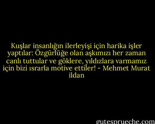 Kuşlar insanlığın ilerleyişi için harika işler yaptılar: Özgürlüğe olan aşkımızı her zaman canlı tuttular ve göklere, yıldızlara varmamız için bizi ısrarla motive ettiler! - Mehmet Murat ildan