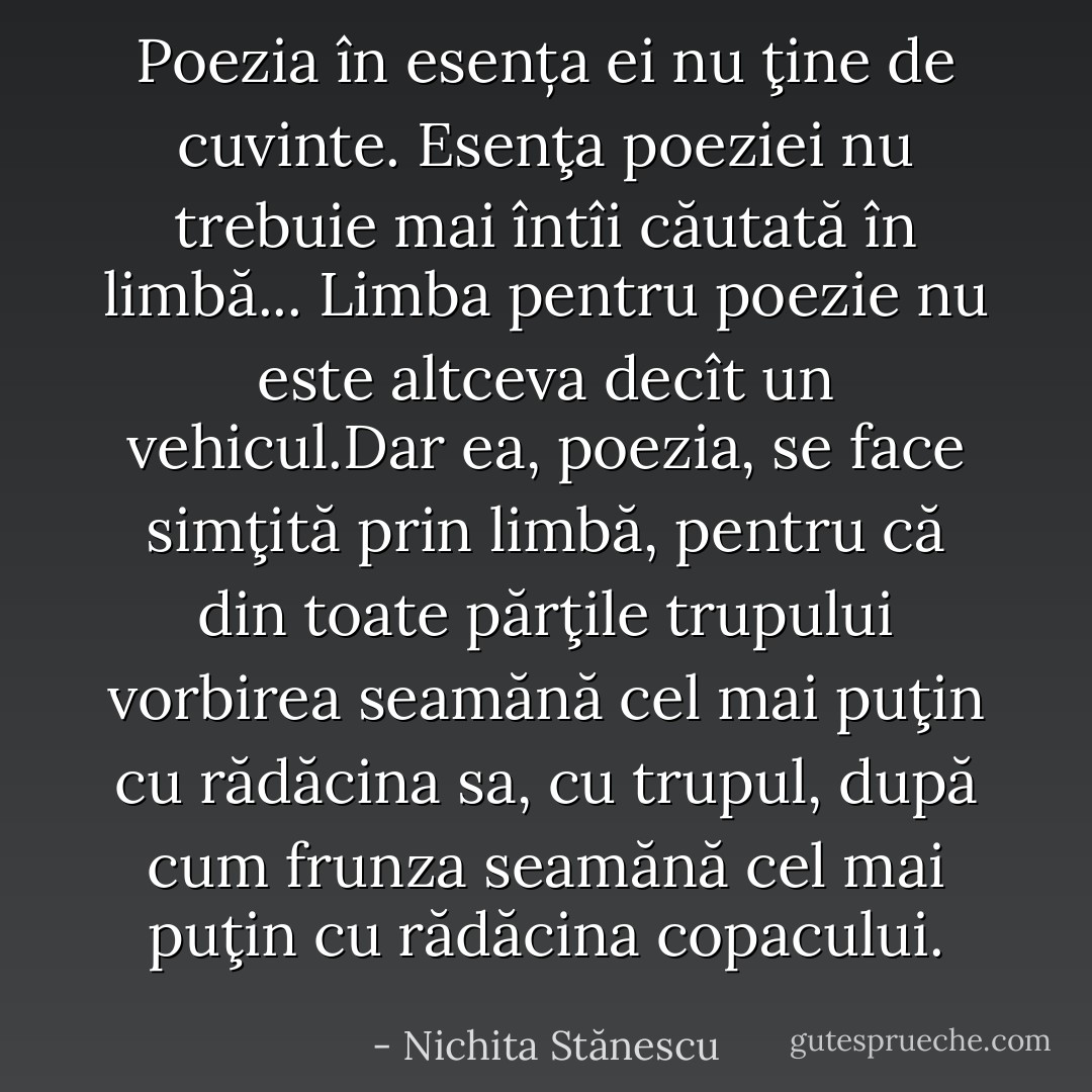 Poezia în esența ei nu ţine de cuvinte. Esenţa poeziei nu trebuie mai întîi căutată în limbă... Limba pentru poezie nu este altceva decît un vehicul.Dar ea, poezia, se face simţită prin limbă, pentru că din toate părţile trupului vorbirea seamănă cel mai puţin cu rădăcina sa, cu trupul, după cum frunza seamănă cel mai puţin cu rădăcina copacului. - Nichita Stănescu