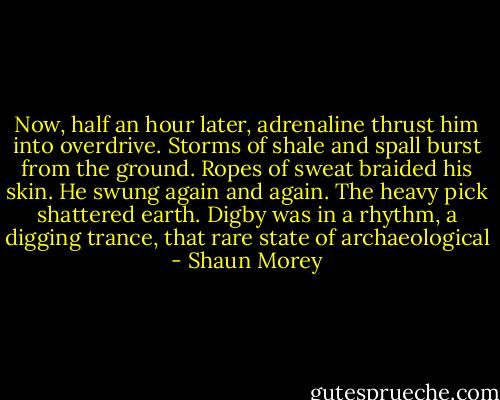 Now, half an hour later, adrenaline thrust him into overdrive. Storms of shale and spall burst from the ground. Ropes of sweat braided his skin. He swung again and again. The heavy pick shattered earth. Digby was in a rhythm, a digging trance, that rare state of archaeological - Shaun Morey
