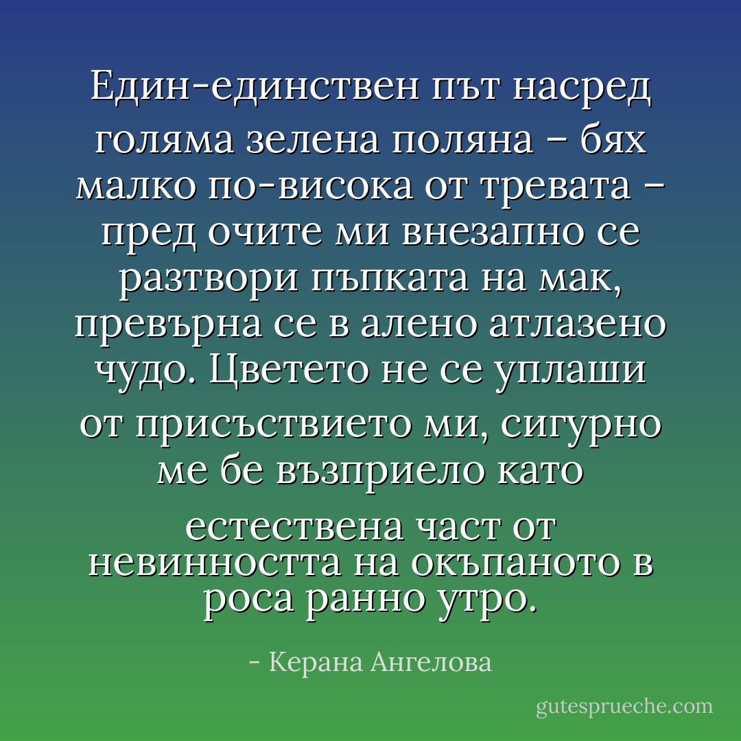 Един-единствен път насред голяма зелена поляна – бях малко по-висока от тревата – пред очите ми внезапно се разтвори пъпката на мак, превърна се в алено атлазено чудо. Цветето не се уплаши от присъствието ми, сигурно ме бе възприело като естествена част от невинността на окъпаното в роса ранно утро. - Керана Ангелова