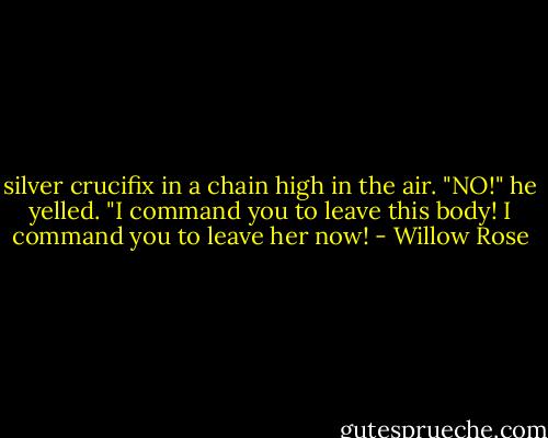 silver crucifix in a chain high in the air. "NO!" he yelled. "I command you to leave this body! I command you to leave her now! - Willow Rose