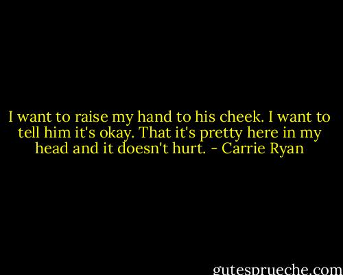 I want to raise my hand to his cheek. I want to tell him it's okay. That it's pretty here in my head and it doesn't hurt. - Carrie Ryan