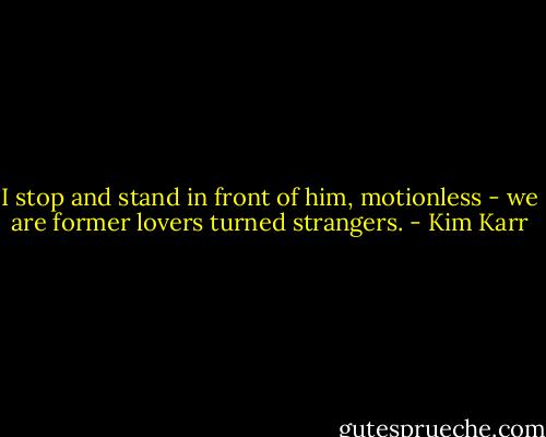 I stop and stand in front of him, motionless - we are former lovers turned strangers. - Kim Karr