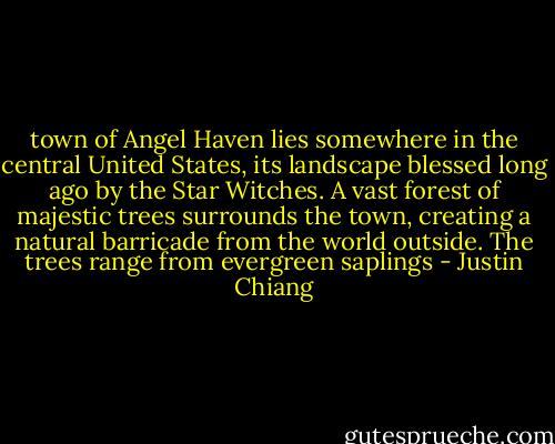 town of Angel Haven lies somewhere in the central United States, its landscape blessed long ago by the Star Witches. A vast forest of majestic trees surrounds the town, creating a natural barricade from the world outside. The trees range from evergreen saplings - Justin Chiang
