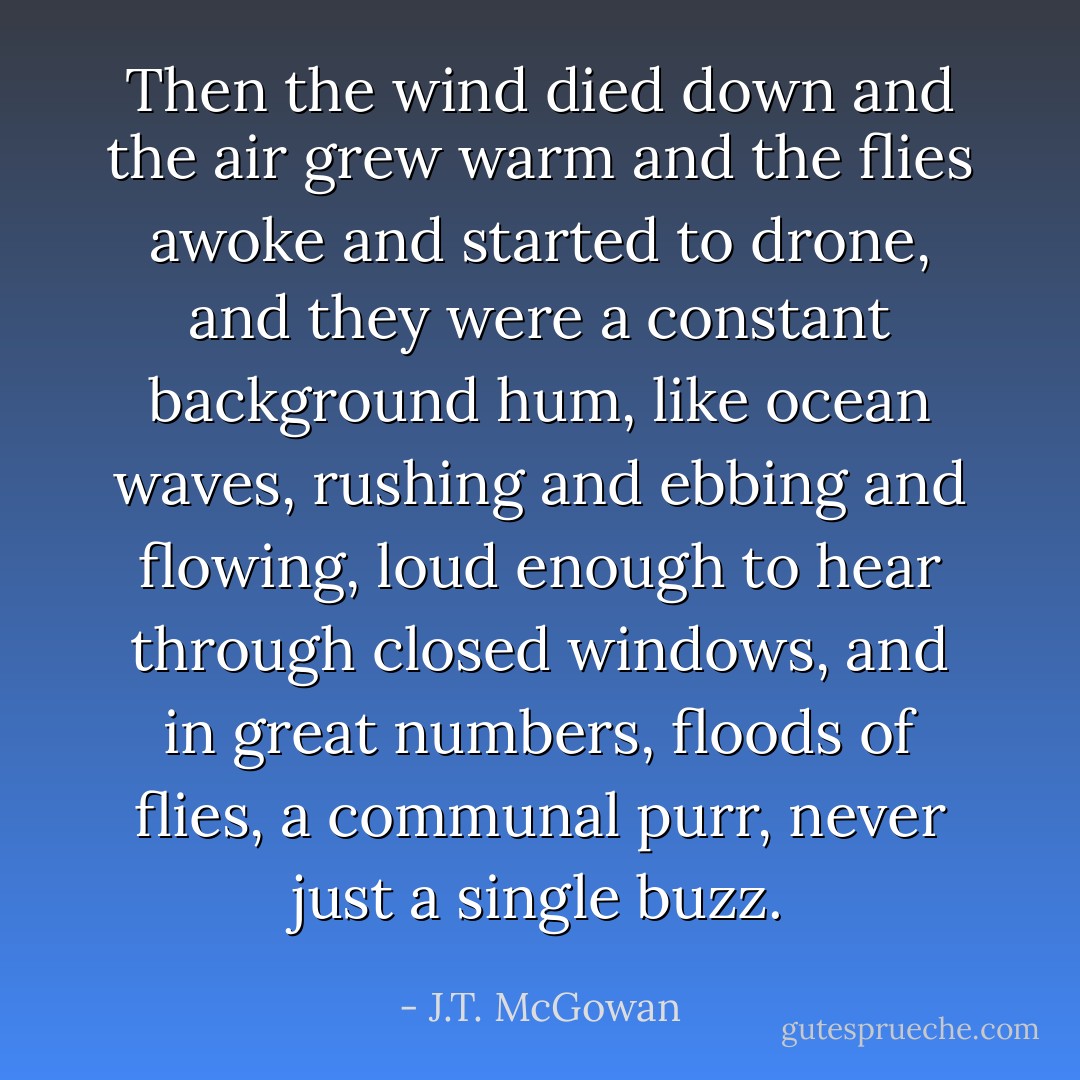 Then the wind died down and the air grew warm and the flies awoke and started to drone, and they were a constant background hum, like ocean waves, rushing and ebbing and flowing, loud enough to hear through closed windows, and in great numbers, floods of flies, a communal purr, never just a single buzz. - J.T. McGowan