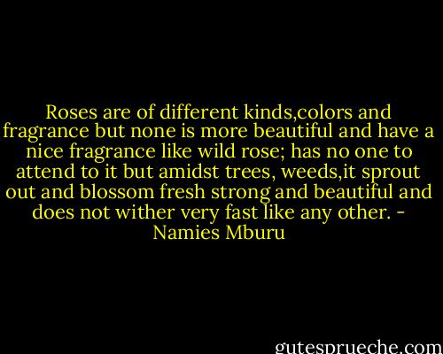 Roses are of different kinds,colors and fragrance but none is more beautiful and have a nice fragrance like wild rose; has no one to attend to it but amidst trees, weeds,it sprout out and blossom fresh strong and beautiful and does not wither very fast like any other. - Namies Mburu
