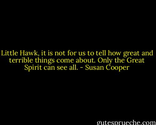 Little Hawk, it is not for us to tell how great and terrible things come about. Only the Great Spirit can see all. - Susan Cooper