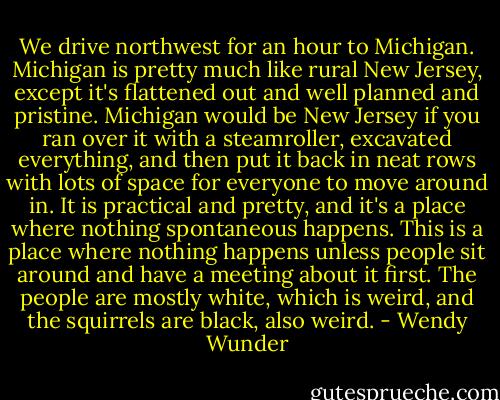 We drive northwest for an hour to Michigan. Michigan is pretty much like rural New Jersey, except it's flattened out and well planned and pristine. Michigan would be New Jersey if you ran over it with a steamroller, excavated everything, and then put it back in neat rows with lots of space for everyone to move around in. It is practical and pretty, and it's a place where nothing spontaneous happens. This is a place where nothing happens unless people sit around and have a meeting about it first. The people are mostly white, which is weird, and the squirrels are black, also weird. - Wendy Wunder