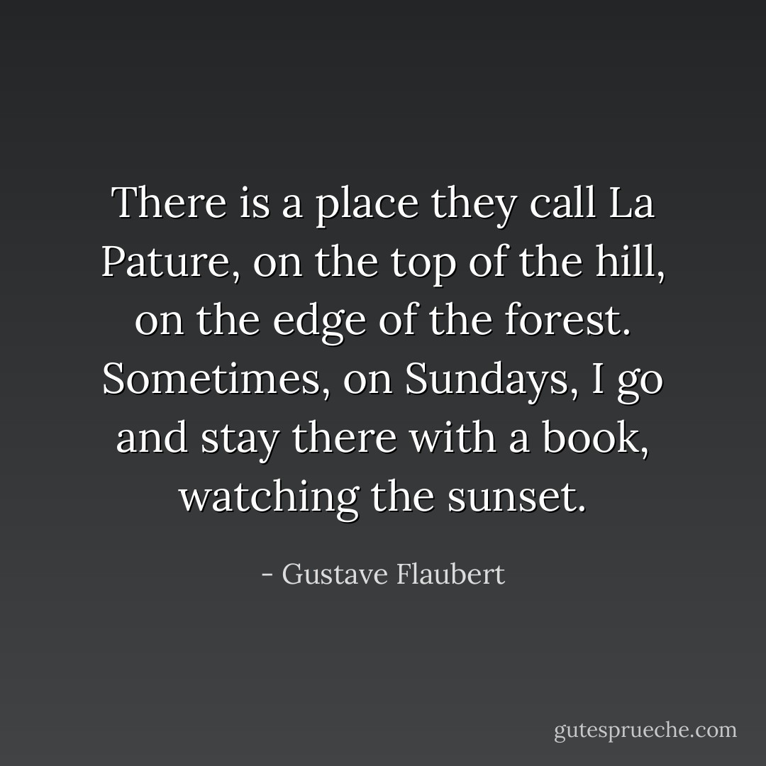 There is a place they call La Pature, on the top of the hill, on the edge of the forest. Sometimes, on Sundays, I go and stay there with a book, watching the sunset. - Gustave Flaubert
