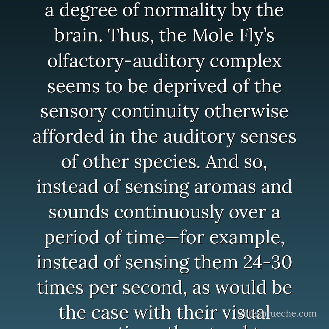 Sound waves, regardless of their frequency or intensity, can only be detected by the Mole Fly’s acute sense of smell—it is a little known fact that the Mole Fly’s auditory receptors do not, in fact, have a corresponding center in the brain designated for the purposes of processing sensory stimuli and so, these stimuli, instead of being siphoned out as noise, bypass the filters to be translated, oddly enough, by the part of the brain that processes smell. Consequently, the Mole Fly’s brain, in its inevitable confusion, understands sound as an aroma, rendering the boundary line between the auditory and olfactory sense indistinguishable.<br /><br />Sounds, thus, come in a variety of scents with an intensity proportional to its frequency. Sounds of shorter wavelength, for example, are particularly pungent. What results is a species of creature that cannot conceptualize the possibility that sound and smell are separate entities, despite its ability to discriminate between the exactitudes of pitch, timbre, tone, scent, and flavor to an alarming degree of precision. Yet, despite this ability to hyper-analyze, they lack the cognitive skill to laterally link successions of either sound or smell into a meaningful context, resulting in the equivalent of a data overflow.<br />And this may be the most defining element of the Mole Fly’s behavior: a blatant disregard for the context of perception, in favor of analyzing those remote and diminutive properties that distinguish one element from another. While sensory continuity seems logical to their visual perception, as things are subject to change from moment-to-moment, such is not the case with their olfactory sense, as delays in sensing new smells are granted a degree of normality by the brain. Thus, the Mole Fly’s olfactory-auditory complex seems to be deprived of the sensory continuity otherwise afforded in the auditory senses of other species. And so, instead of sensing aromas and sounds continuously over a period of time—for example, instead of sensing them 24-30 times per second, as would be the case with their visual perception—they tend to process changes in sound and smell much more slowly, thereby preventing them from effectively plotting the variations thereof into an array or any kind of meaningful framework that would allow the information provided by their olfactory and auditory stimuli to be lasting in their usefulness.<br /><br />The Mole flies, themselves, being the structurally-obsessed and compulsive creatures that they are, in all their habitual collecting, organizing, and re-organizing of found objects into mammoth installations of optimal functional value, are remarkably easy to control, especially as they are given to a rather false and arbitrary sense of hierarchy, ascribing positions—that are otherwise trivial, yet necessarily mundane if only to obscure their true purpose—with an unfathomable amount of honor, to the logical extreme that the few chosen to serve in their most esteemed ranks are imbued with a kind of obligatory arrogance that begins in the pupal stages and extends indefinitely, as they are further nurtured well into adulthood by a society that infuses its heroes of middle management with an immeasurable sense of importance—a kind of celebrity status recognized by the masses as a living embodiment of their ideals. And yet, despite this culture of celebrity worship and vicarious living, all whims and impulses fall subservient, dropping humbly to the knees—yes, Mole Flies do, in fact, have knees!—before the grace of the merciful Queen, who is, in actuality, just a puppet dictator installed by the Melic papacy, using an old recycled Damsel fly-fishing lure. The dummy is crude, but convincing, as the Mole flies treat it as they would their true-born queen. - Ashim Shanker