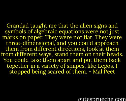 Grandad taught me that the alien signs and symbols of algebraic equations were not just marks on paper. They were not flat. They were three-dimensional, and you could approach them from different directions, look at them from different ways, stand them on their heads. You could take them apart and put them back together in a variety of shapes, like Legos. I stopped being scared of them. - Mal Peet