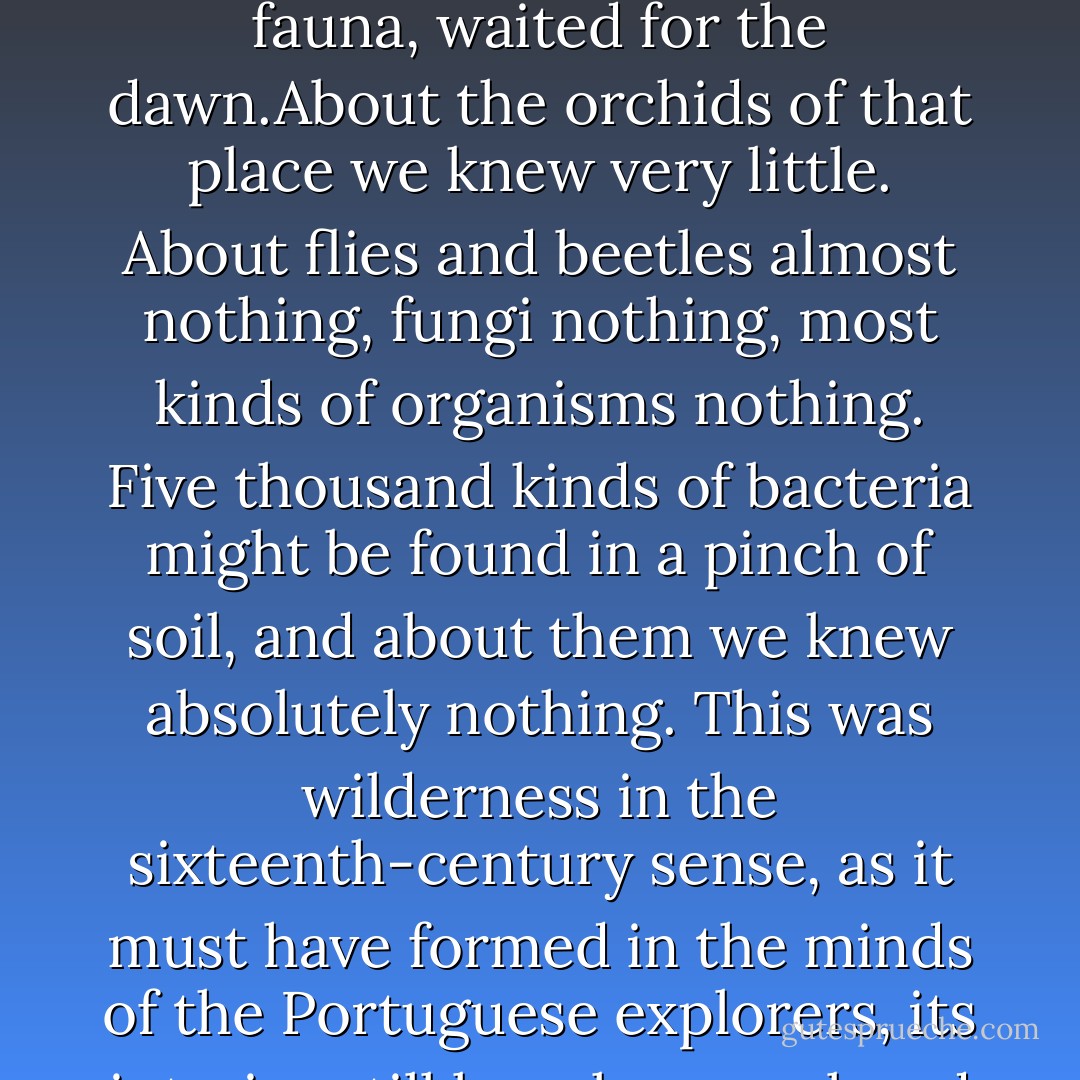 Somewhere close I knew spear-nosed bats flew through the tree crowns in search of fruit, palm vipers coiled in ambush in the roots of orchids, jaguars walked the river's edge; around them eight hundred species of trees stood, more than are native to all of North America; and a thousand species of butterflies, 6 percent of the entire world fauna, waited for the dawn.About the orchids of that place we knew very little. About flies and beetles almost nothing, fungi nothing, most kinds of organisms nothing. Five thousand kinds of bacteria might be found in a pinch of soil, and about them we knew absolutely nothing. This was wilderness in the sixteenth-century sense, as it must have formed in the minds of the Portuguese explorers, its interior still largely unexplored and filled with strange, myth-engendering plants and animals. From such a place the pious naturalist would send long respectful letters to royal patrons about the wonders of the new world as testament to the glory of God. And I thought: there is still time to see this land in such a manner. - Edward O. Wilson