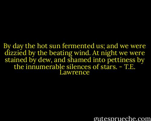 By day the hot sun fermented us; and we were dizzied by the beating wind. At night we were stained by dew, and shamed into pettiness by the innumerable silences of stars. - T.E. Lawrence