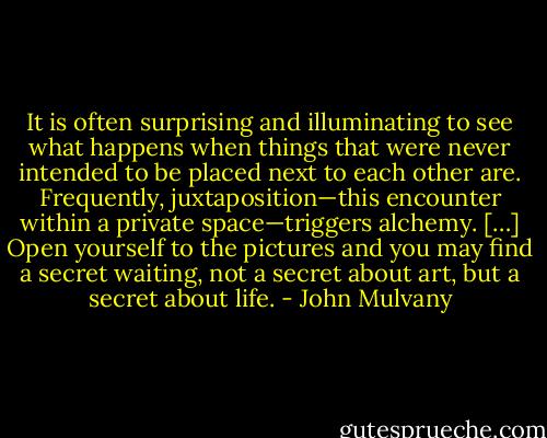 It is often surprising and illuminating to see what happens when things that were never intended to be placed next to each other are. Frequently, juxtaposition—this encounter within a private space—triggers alchemy. […] Open yourself to the pictures and you may find a secret waiting, not a secret about art, but a secret about life. - John Mulvany