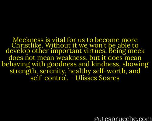 Meekness is vital for us to become more Christlike. Without it we won't be able to develop other important virtues. Being meek does not mean weakness, but it does mean behaving with goodness and kindness, showing strength, serenity, healthy self-worth, and self-control. - Ulisses Soares
