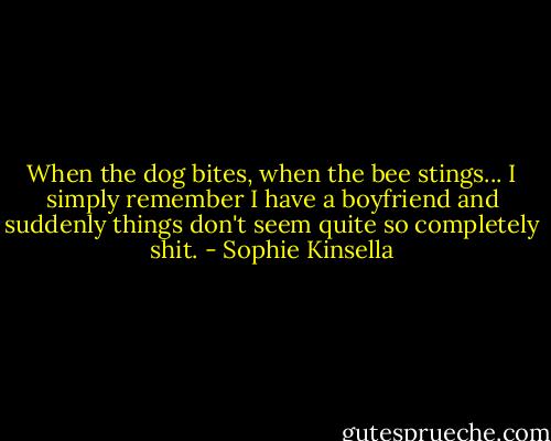 When the dog bites, when the bee stings... I simply remember I have a boyfriend and suddenly things don't seem quite so completely shit. - Sophie Kinsella