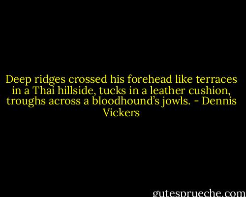Deep ridges crossed his forehead like terraces in a Thai hillside, tucks in a leather cushion, troughs across a bloodhound’s jowls. - Dennis Vickers