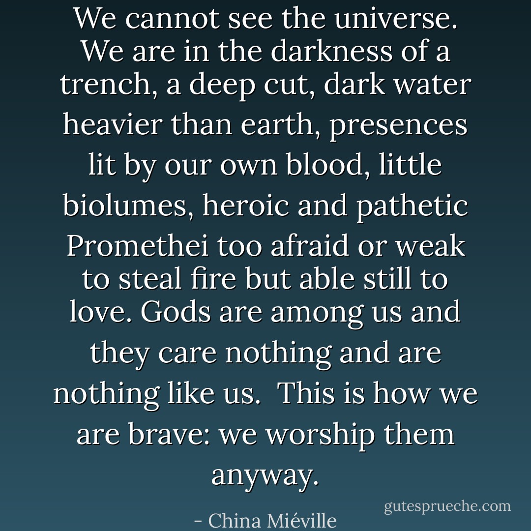 We cannot see the universe. We are in the darkness of a trench, a deep cut, dark water heavier than earth, presences lit by our own blood, little biolumes, heroic and pathetic Promethei too afraid or weak to steal fire but able still to love. Gods are among us and they care nothing and are nothing like us.<br /><br />This is how we are brave: we worship them anyway. - China Miéville