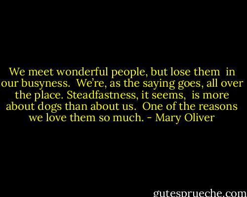 We meet wonderful people, but lose them <br />in our busyness. <br />We’re, as the saying goes, all over the place.<br />Steadfastness, it seems, <br />is more about dogs than about us. <br />One of the reasons we love them so much. - Mary Oliver