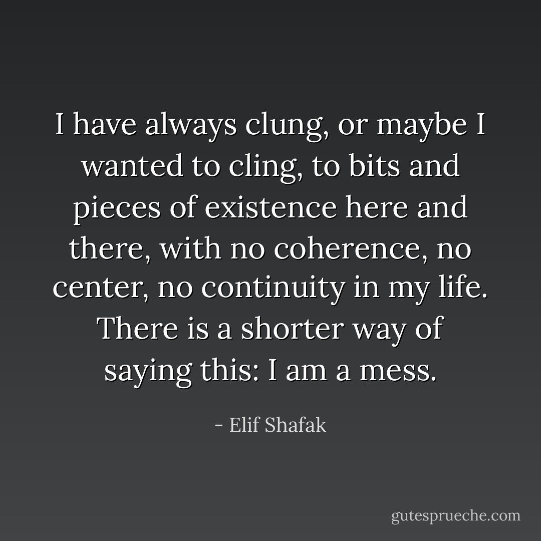 I have always clung, or maybe I wanted to cling, to bits and pieces of existence here and there, with no coherence, no center, no continuity in my life. There is a shorter way of saying this: I am a mess. - Elif Shafak