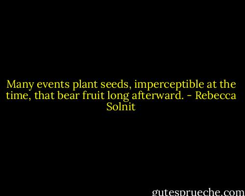 Many events plant seeds, imperceptible at the time, that bear fruit long afterward. - Rebecca Solnit