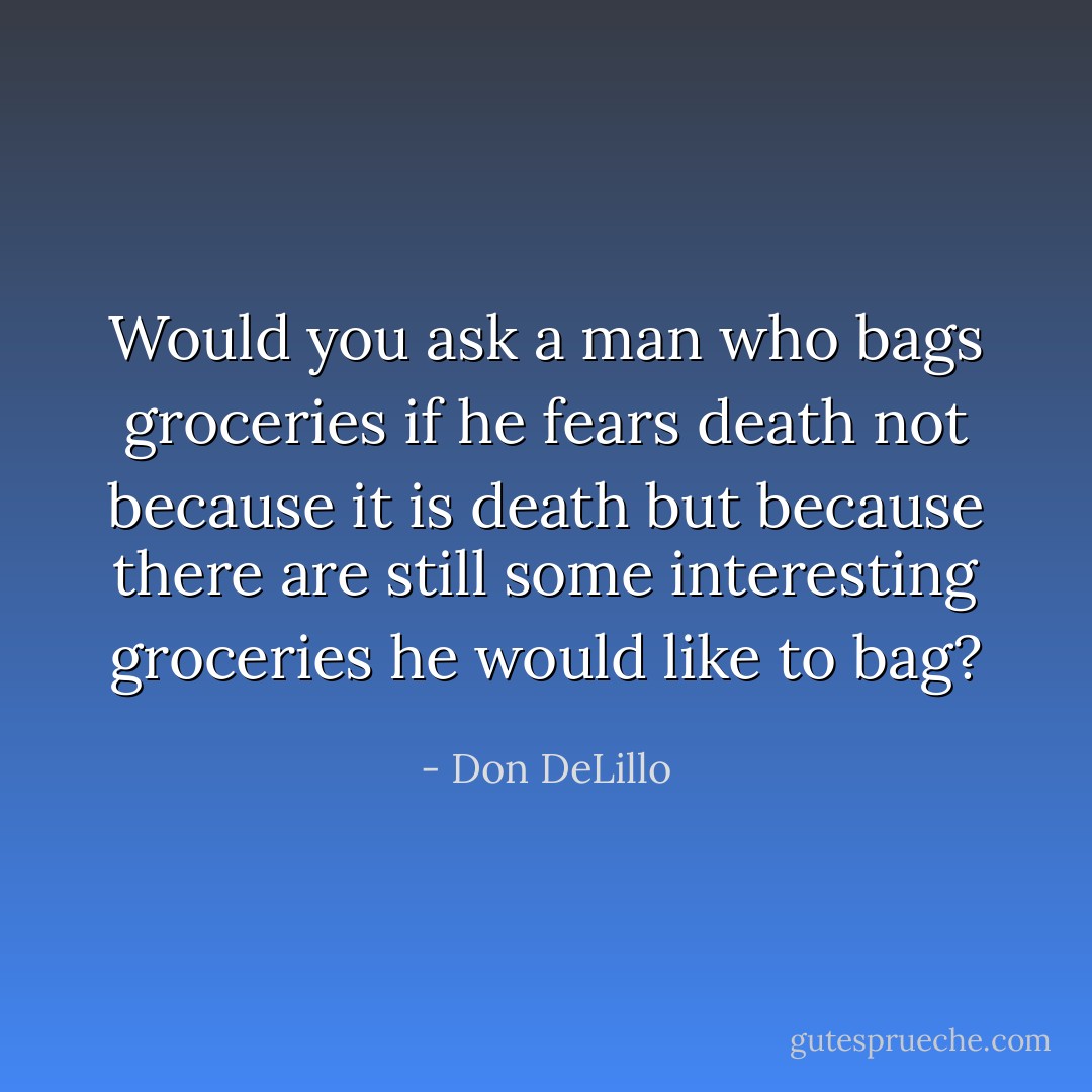 Would you ask a man who bags groceries if he fears death not because it is death but because there are still some interesting groceries he would like to bag? - Don DeLillo