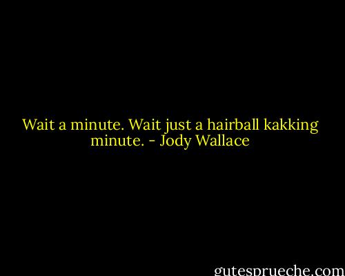 Wait a minute. Wait just a hairball kakking minute. - Jody Wallace
