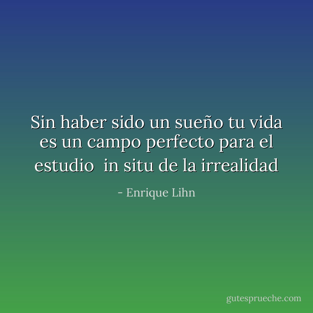Sin haber sido un sueño tu vida es un campo perfecto para el estudio<br /> in situ de la irrealidad - Enrique Lihn