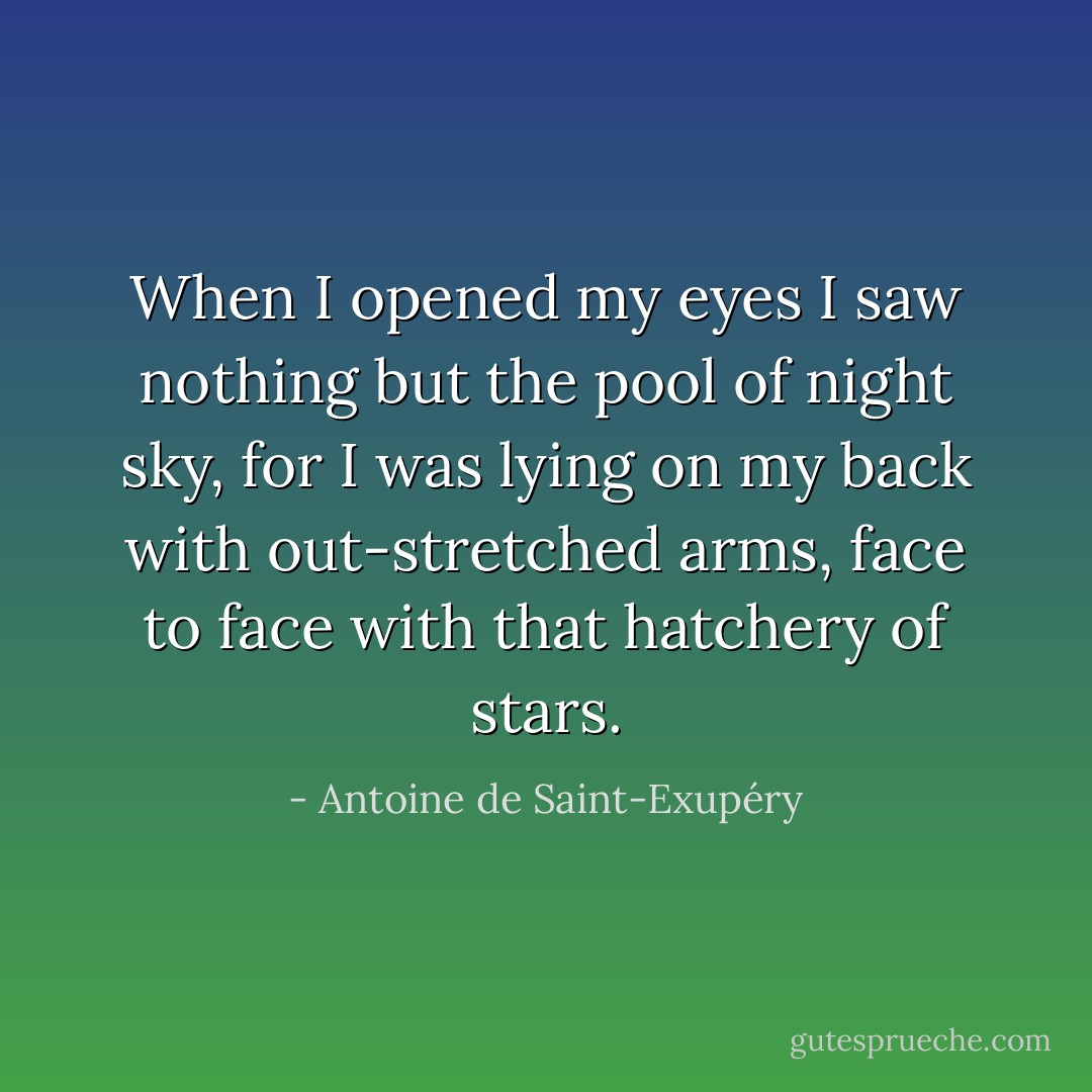 When I opened my eyes I saw nothing but the pool of night sky, for I was lying on my back with out-stretched arms, face to face with that hatchery of stars. - Antoine de Saint-Exupéry