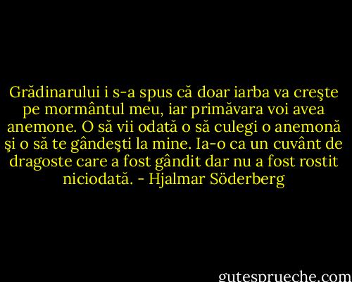 Grădinarului i s-a spus că doar iarba va creşte pe mormântul meu, iar primăvara voi avea anemone. O să vii odată o să culegi o anemonă şi o să te gândeşti la mine. Ia-o ca un cuvânt de dragoste care a fost gândit dar nu a fost rostit niciodată. - Hjalmar Söderberg