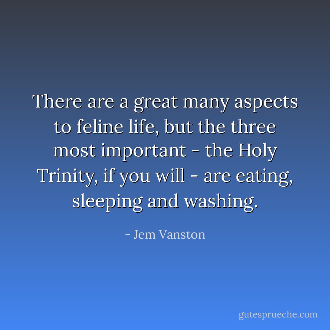 There are a great many aspects to feline life, but the three most important - the Holy Trinity, if you will - are eating, sleeping and washing. - Jem Vanston