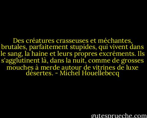 Des créatures crasseuses et méchantes, brutales, parfaitement stupides, qui vivent dans le sang, la haine et leurs propres excréments. Ils s'agglutinent là, dans la nuit, comme de grosses mouches à merde autour de vitrines de luxe désertes. - Michel Houellebecq