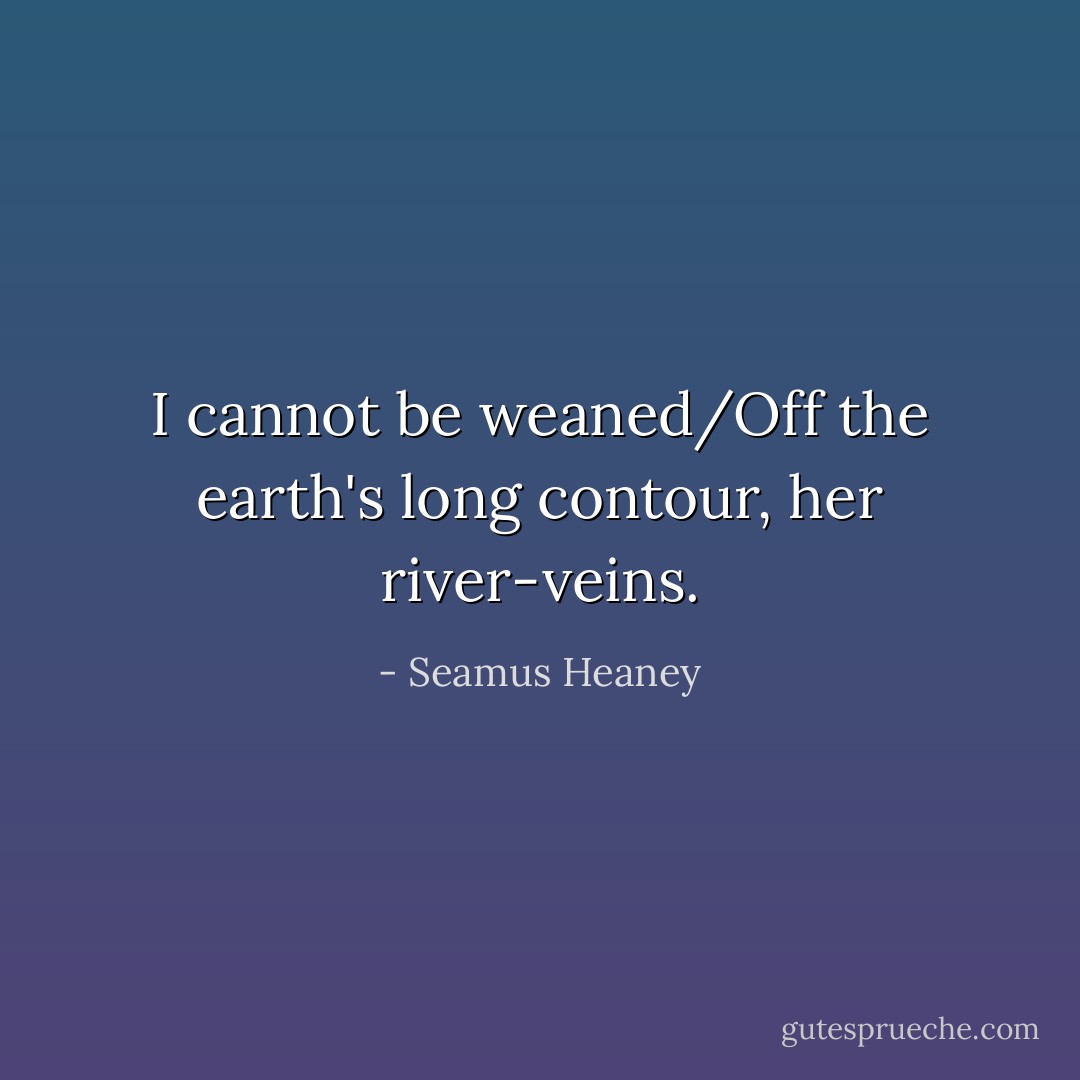 I cannot be weaned/Off the earth's long contour, her river-veins. - Seamus Heaney