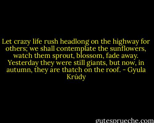 Let crazy life rush headlong on the highway for others; we shall contemplate the sunflowers, watch them sprout, blossom, fade away. Yesterday they were still giants, but now, in autumn, they are thatch on the roof. - Gyula Krúdy