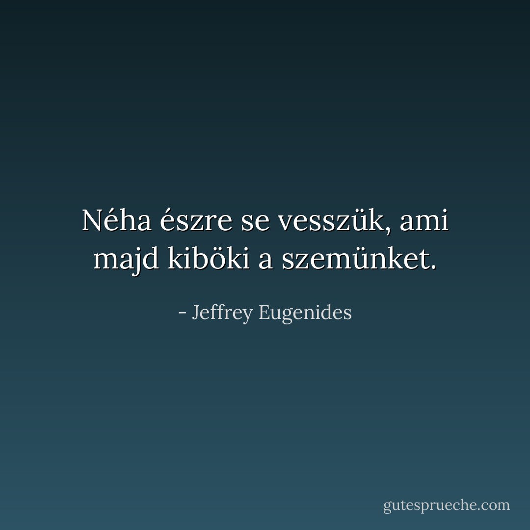 Néha észre se vesszük, ami majd kiböki a szemünket. - Jeffrey Eugenides