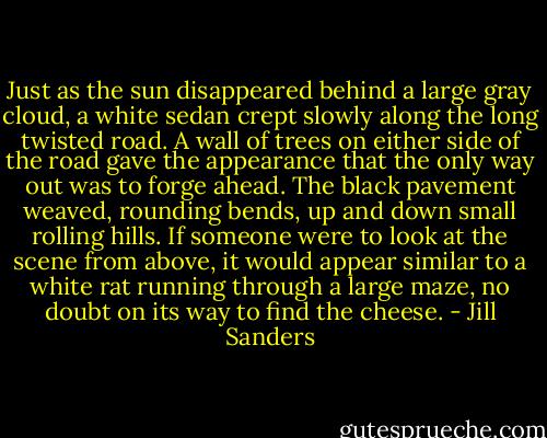 Just as the sun disappeared behind a large gray cloud, a white sedan crept slowly along the long twisted road. A wall of trees on either side of the road gave the appearance that the only way out was to forge ahead. The black pavement weaved, rounding bends, up and down small rolling hills. If someone were to look at the scene from above, it would appear similar to a white rat running through a large maze, no doubt on its way to find the cheese. - Jill Sanders