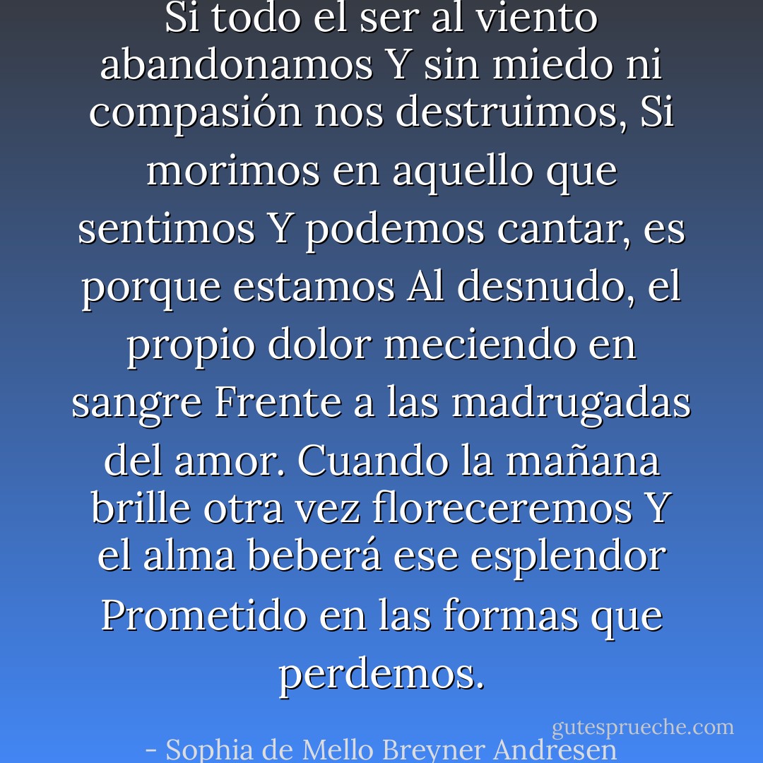 Si todo el ser al viento abandonamos<br />Y sin miedo ni compasión nos destruimos,<br />Si morimos en aquello que sentimos<br />Y podemos cantar, es porque estamos<br />Al desnudo, el propio dolor meciendo en sangre<br />Frente a las madrugadas del amor.<br />Cuando la mañana brille otra vez floreceremos<br />Y el alma beberá ese esplendor<br />Prometido en las formas que perdemos. - Sophia de Mello Breyner Andresen