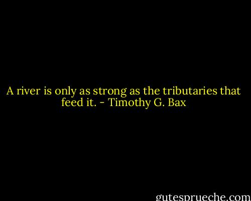 A river is only as strong as the tributaries that feed it. - Timothy G. Bax