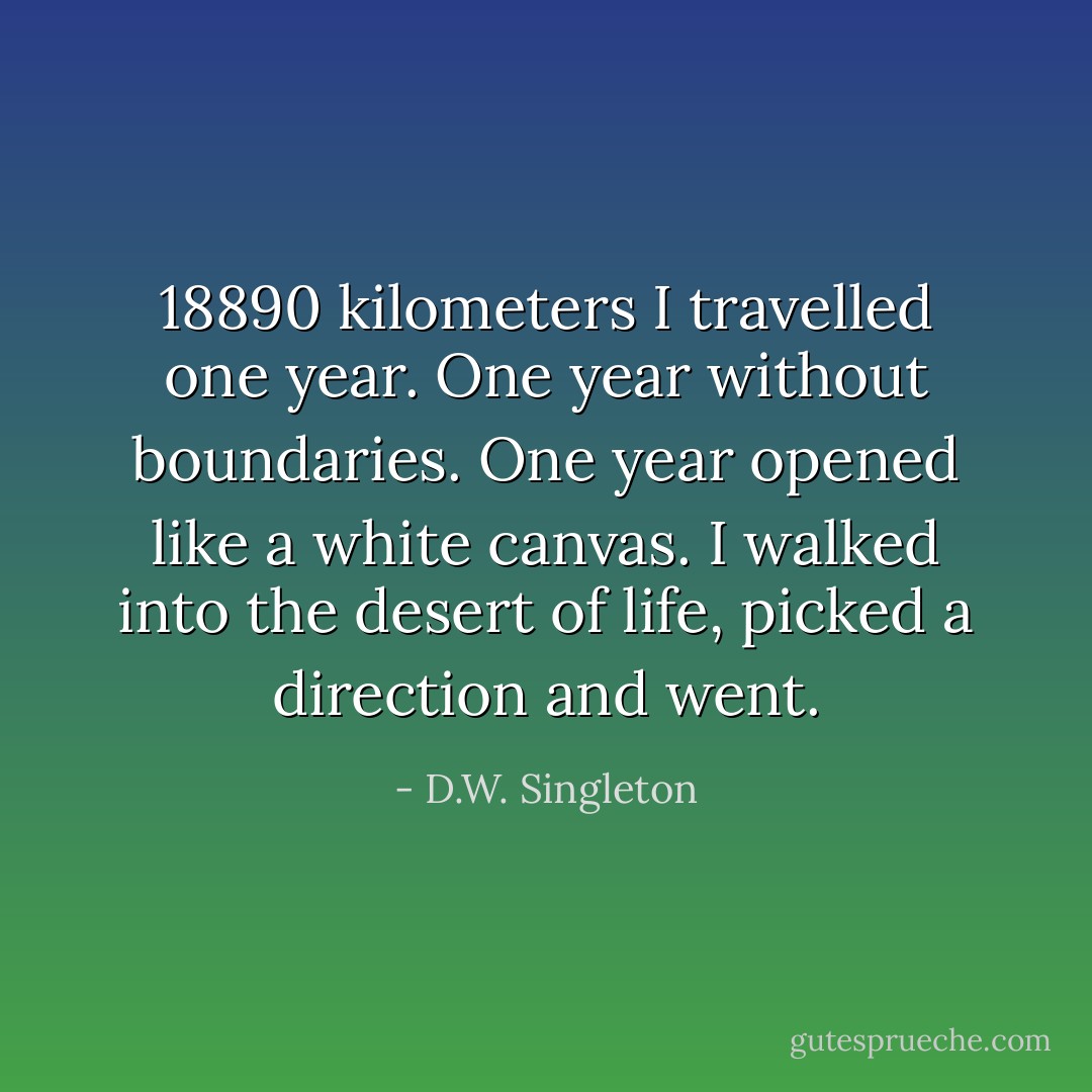 18890 kilometers I travelled one year. One year without boundaries. One year opened like a white canvas. I walked into the desert of life, picked a direction and went. - D.W. Singleton