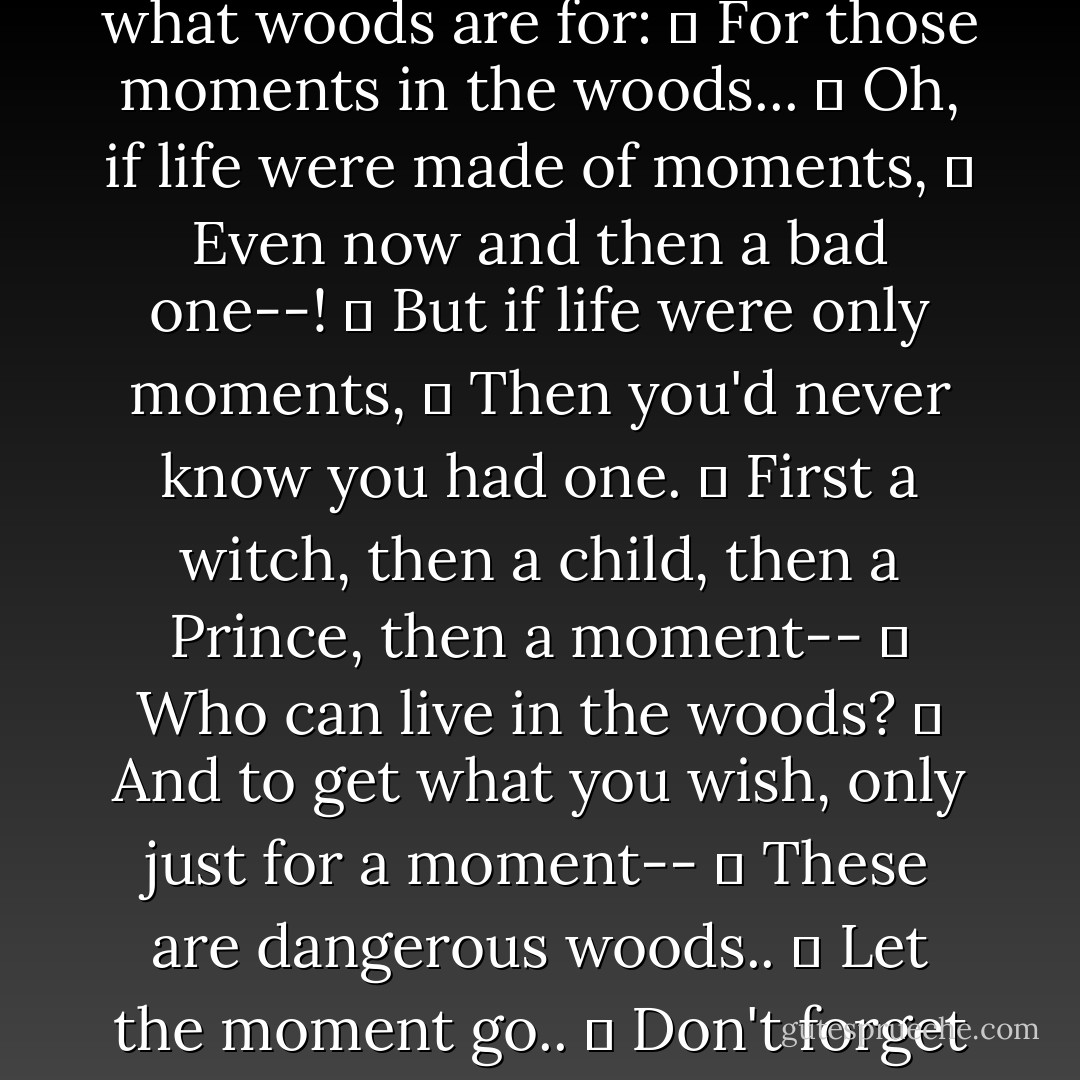 Was that me? Yes it was. Was that him? No it wasn't..<br />	 Just a trick of the woods!<br />	 Just a moment,<br />	 One peculiar passing moment.<br />	 Must it all be either less or more,<br />	 Either plain or grand?<br />	 Is it always 'or'?<br />	 Is it never 'and'?<br />	 That's what woods are for:<br />	 For those moments in the woods...<br />	 Oh, if life were made of moments,<br />	 Even now and then a bad one--!<br />	 But if life were only moments,<br />	 Then you'd never know you had one.<br />	 First a witch, then a child, then a Prince, then a moment--<br />	 Who can live in the woods?<br />	 And to get what you wish, only just for a moment--<br />	 These are dangerous woods..<br />	 Let the moment go..<br />	 Don't forget it for a moment, though.<br />	 Just remembering you had an 'and,' when you're back to 'or,'<br />	 Makes the 'or' mean more than is did before.<br />	 Now I understand--<br />And it's time to leave the woods. - Stephen Sondheim