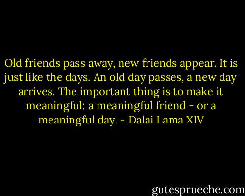 Old friends pass away, new friends appear. It is just like the days. An old day passes, a new day arrives. The important thing is to make it meaningful: a meaningful friend - or a meaningful day. - Dalai Lama XIV